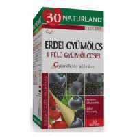 NATURLAND GYÜMÖLCS TEA ERDEI GYÜMÖLCSÖKKEL 20X - 060101022