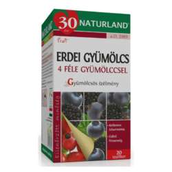 NATURLAND GYÜMÖLCS TEA ERDEI GYÜMÖLCSÖKKEL 20X - 060101022