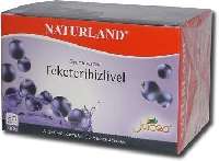 NATURLAND GYÜMÖLCS TEA FEKETERIBIZLI 20X2 GR - 060101020