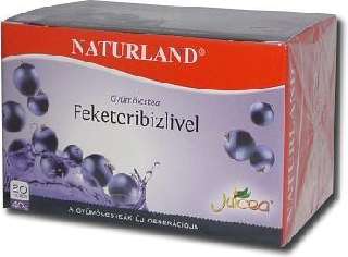 NATURLAND GYÜMÖLCS TEA FEKETERIBIZLI 20X2 GR - 060101020